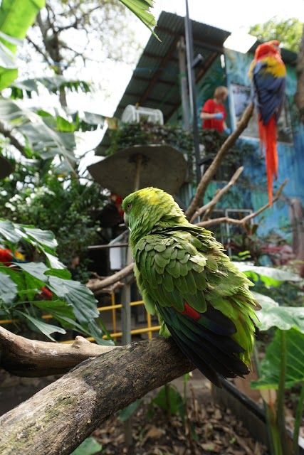 Refugio Herpetológico de Costa Rica